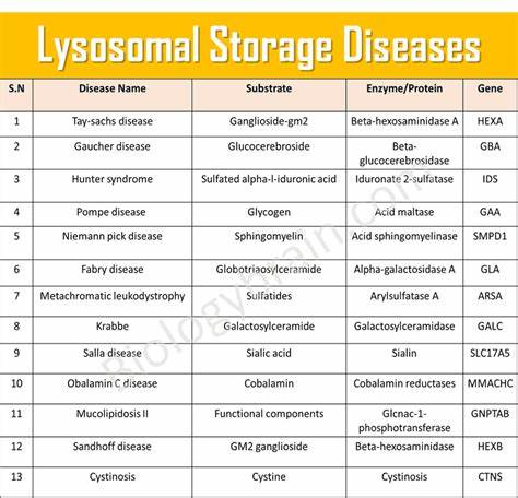 Lysosomal 2.png