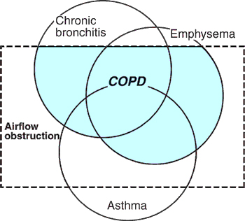 קובץ:AsthmaCOPD1.jpg