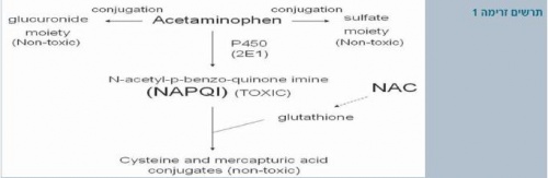 Hepatotoxicity1.JPG