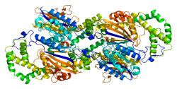 Protein ACPP PDB 1cvi.png